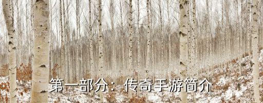 第一部分:传奇手游简介