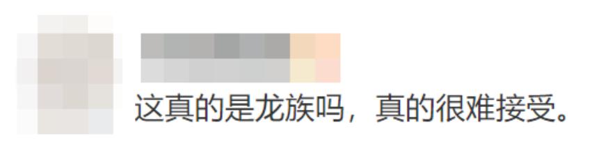 龙族小说改编动画评价_龙族动画口碑争议_龙族手游什么时候出的