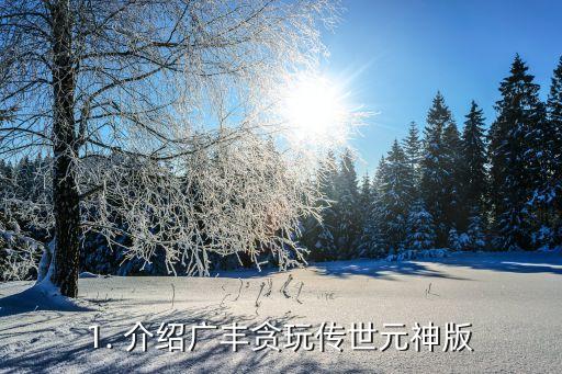 1. 介绍广丰贪玩传世元神版