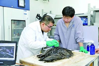 千年盛世挂机脚本_盛世挂机脚本怎么下载_盛世挂机脚本下载