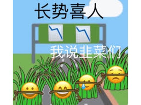 热血江湖全新版本上线_热血江湖全新玩法大全图最新版_热血江湖官网最新区