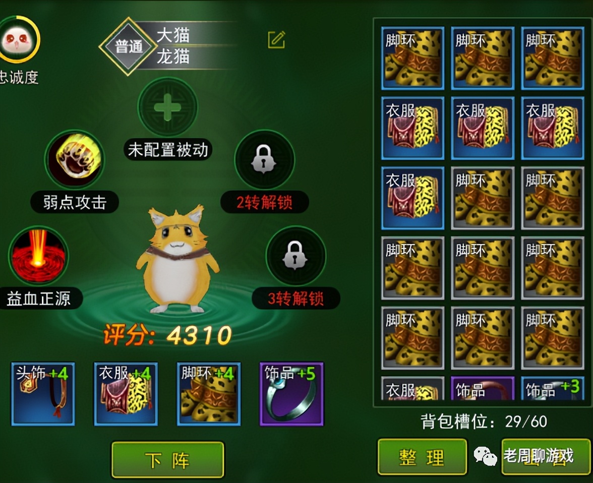 热血江湖手游宠物装备_热血江湖手游电脑版下载教程_热血江湖手游宠物技能