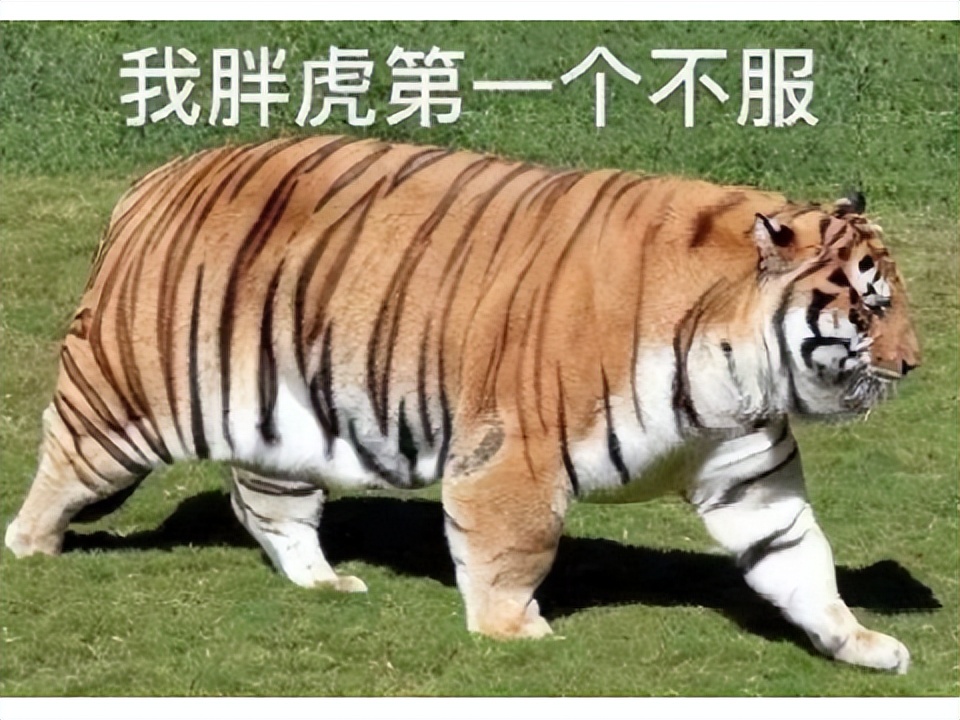 天龙八部霸刀传奇_热血江湖手游满v无限元宝版_天龙八部怀旧版归来