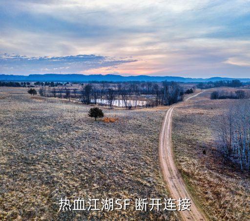热血江湖SF 断开连接