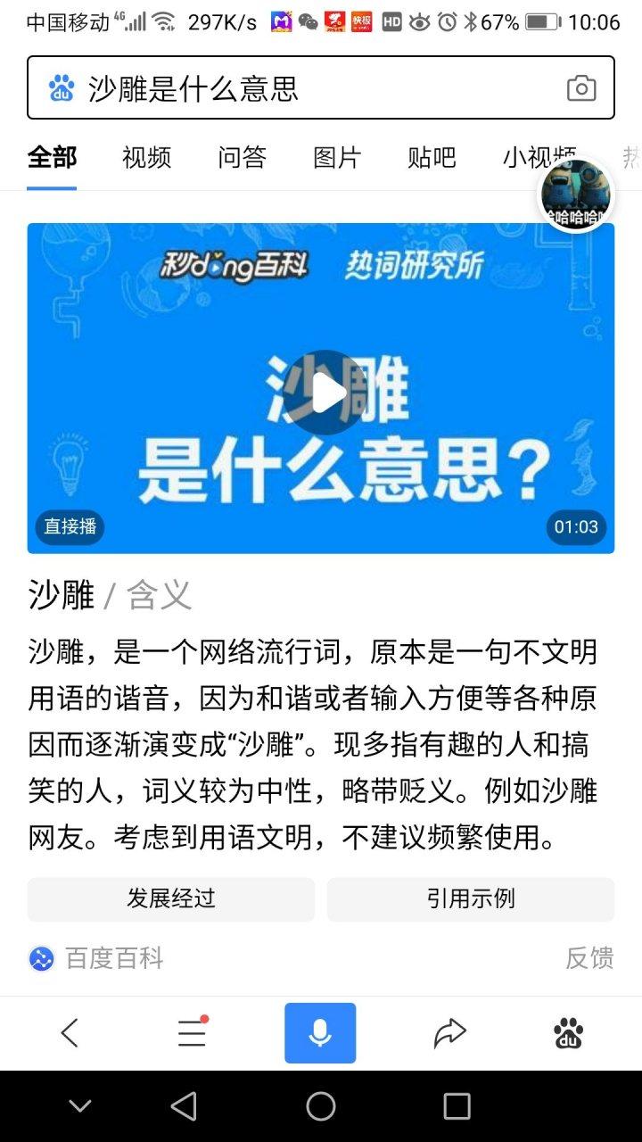 沙雕什么意思啊- 英杰游戏