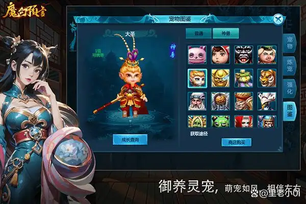 预言手游攻略_预言手游魔魅人物加点图_魔幻预言手游