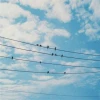 热血江湖独步武林手游下载官方_热血江湖手游 诡影天罗 推理游戏