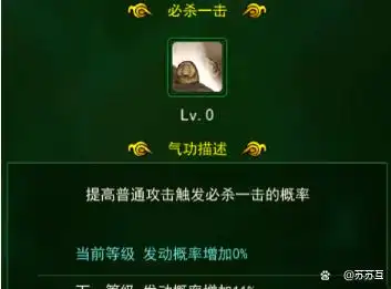 剑客玩法_热血江湖全新玩法攻略图文大全_剑客气功加点