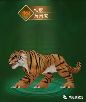 热血江湖武林排名点数_热血江湖独步武林宠物多少级二转_热血江湖武林声望怎么获得