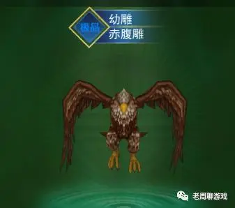 热血江湖独步武林宠物多少级二转_热血江湖武林声望怎么获得_热血江湖武林排名点数